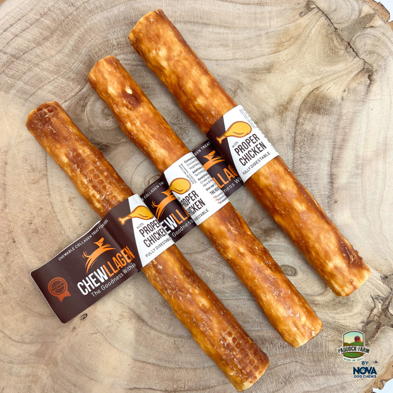 Chewllagen Chicken Roll 10” – Box of 15