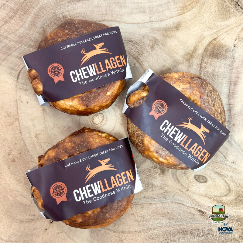 Chewllagen Chicken Small Donut 3.5″ – Box of 15