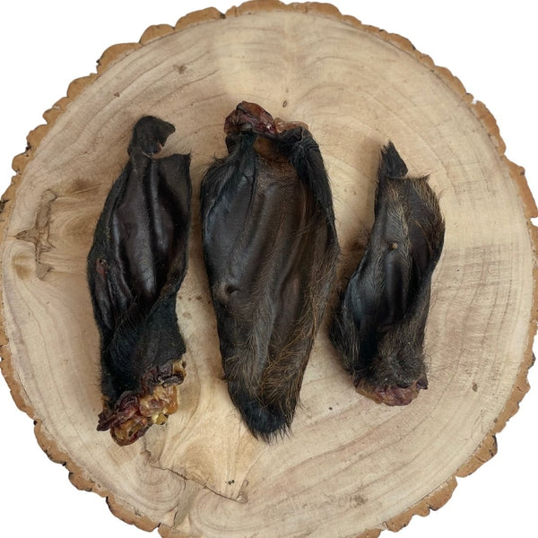 Hairy Buffalo Ears – Box of 50