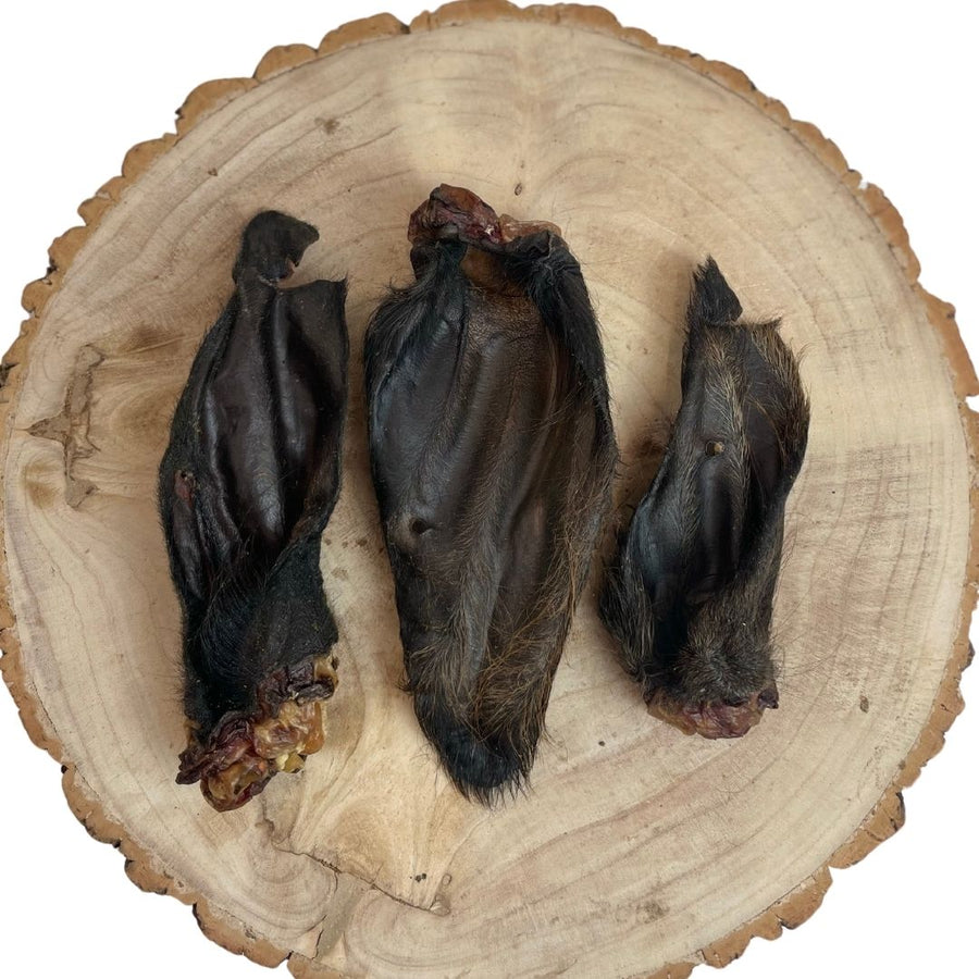 Hairy Buffalo Ears – Box of 50