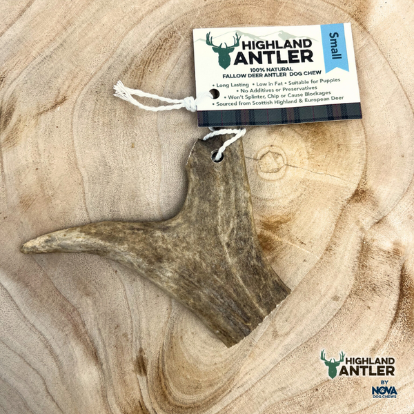 Antler Fallow Small (Under 75g)