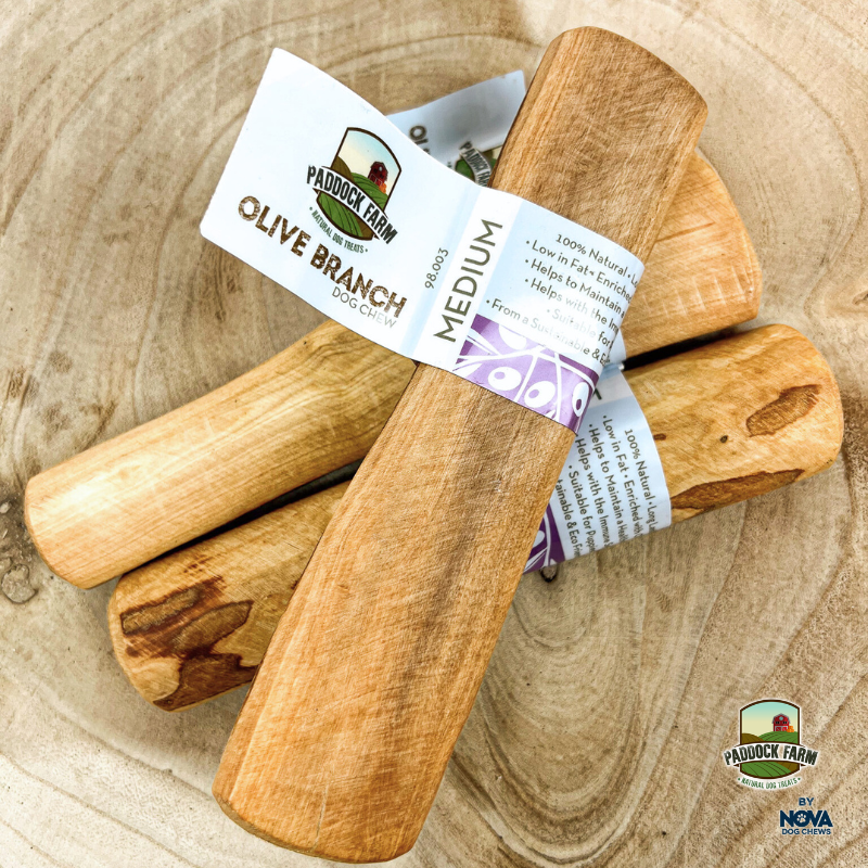 Olive Branch Medium (100-220g)