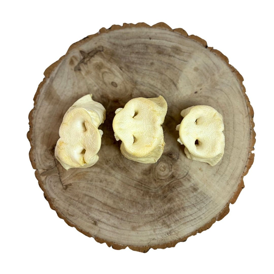 Puffed Pig Snouts (Some pieces smaller than others) – Box of 50