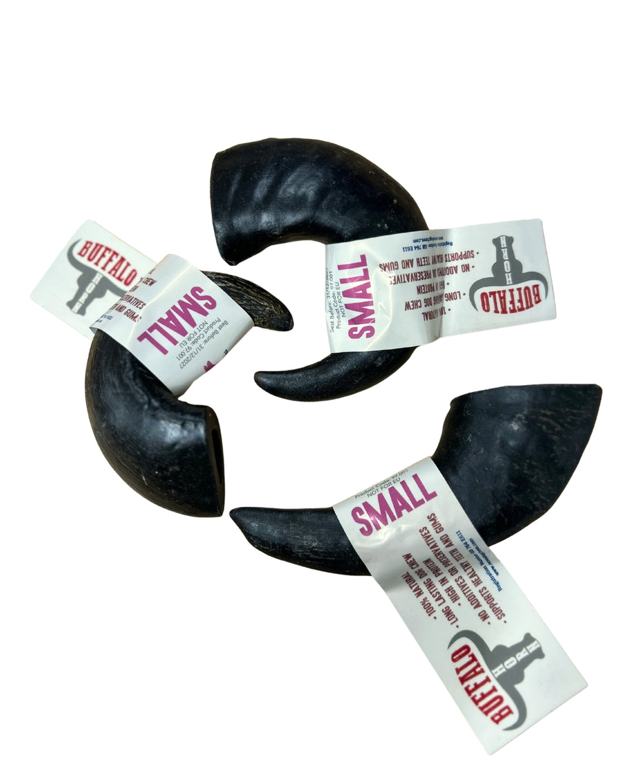 Buffalo Horn Small