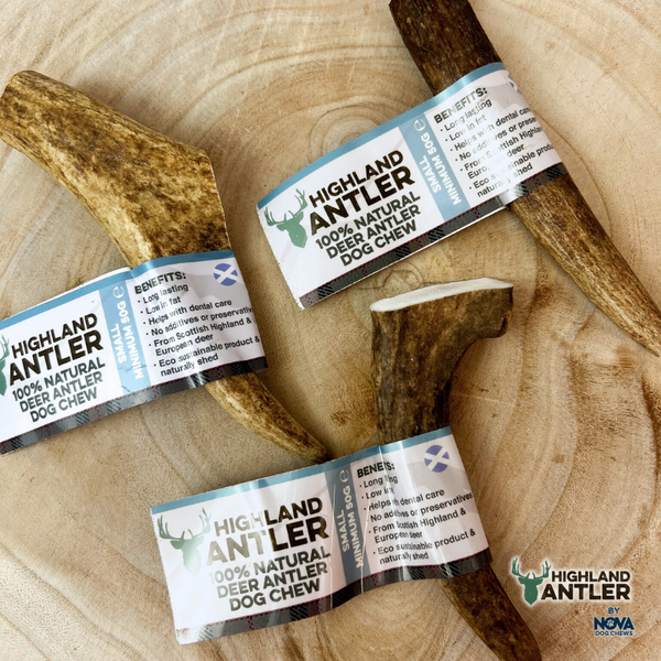 Antler Small (Min 50g)