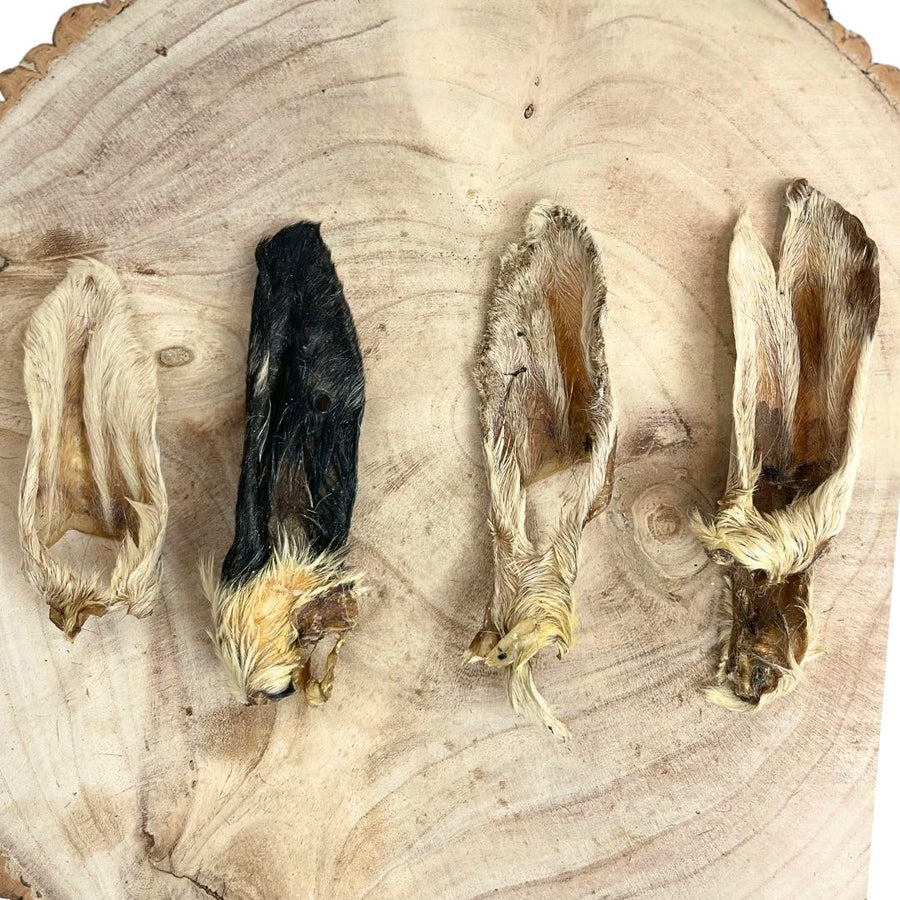 Hairy Lamb Ears 1kg