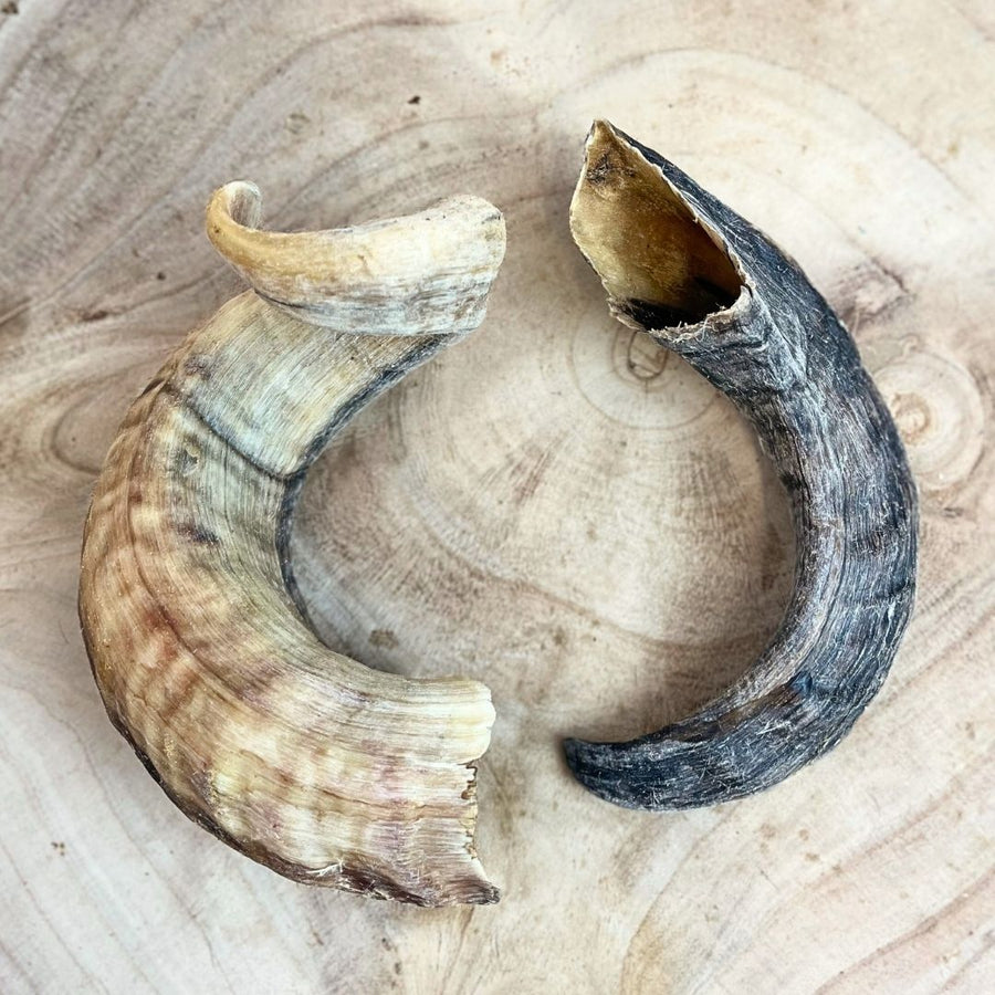 Lamb Horn (Mixed Sizes) – Box of 10