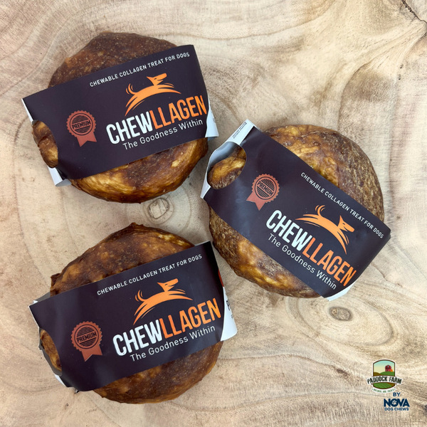 Chewllagen Beef Small Donut 3.5″ – Box of 15