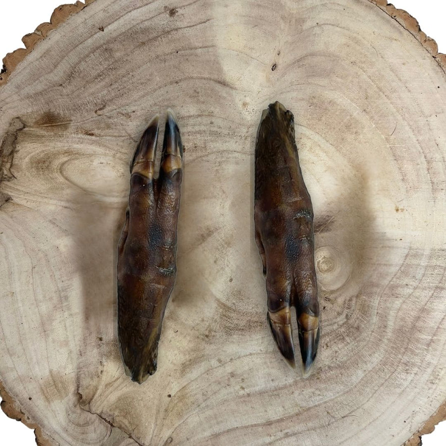 Wild Boar Trotters Mixed Sizes – Box of 15