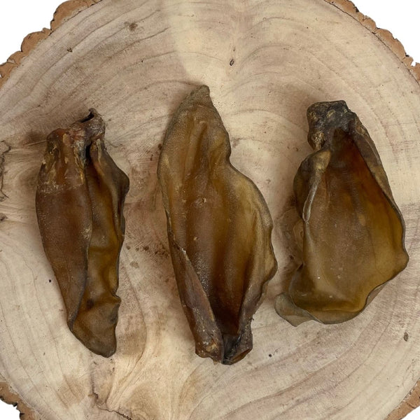 Large Buffalo Ears – Box of 50