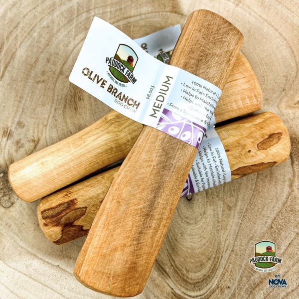 Olive Branch Medium (100-220g)