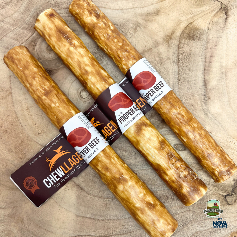Chewllagen Beef Roll 10” – Box of 15