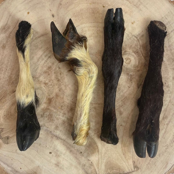 Hairy Lamb Legs – Box of 20