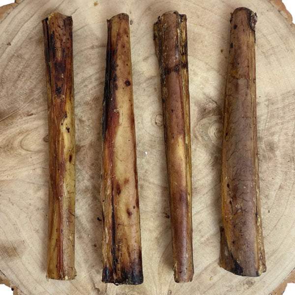 Ostrich Marrow Bones Approx 14cm-18cm – Box of 10