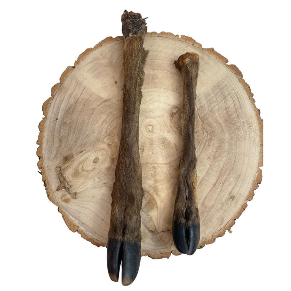 Hairy Deer Legs – Box of 10
