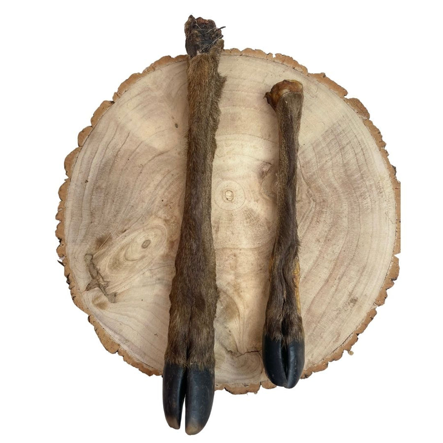 Hairy Deer Legs – Box of 10